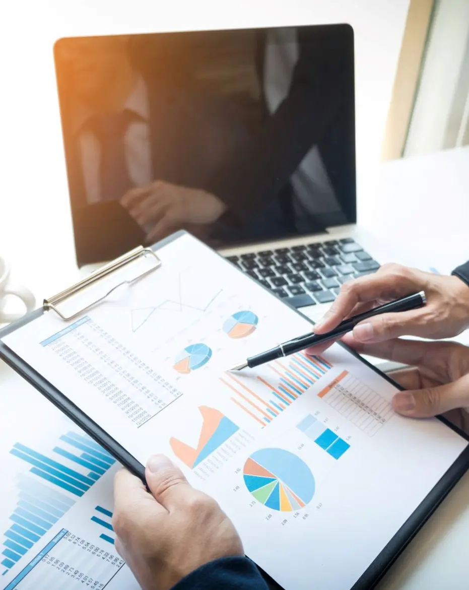 Commercial strategy and market analysis